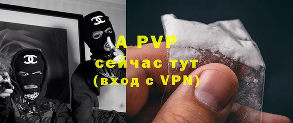 Альфа ПВП Аркадак