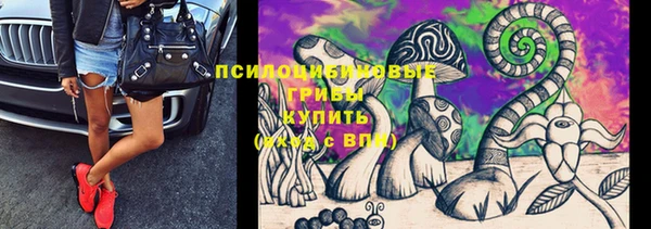 каннабис Арсеньев