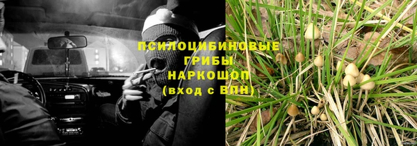 каннабис Арсеньев