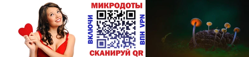 Галлюциногенные грибы Psilocybe  Зея 